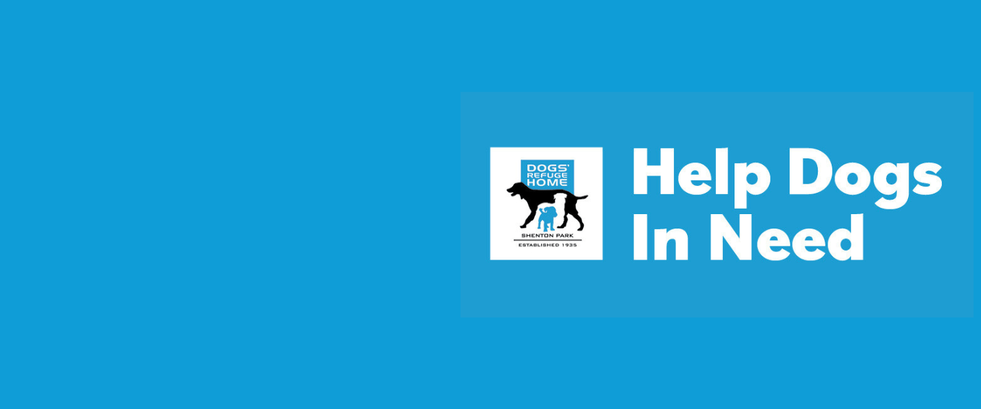 Help Dogs In Need